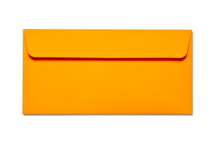 Neon-Außendruck 110 x 220 mm DIN lang Briefumschlag