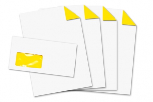 Start-Set Neon-Innendruck DIN lang mit Fenster + DIN A4