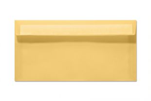 Transparent 110 x 220 mm DIN lang Briefumschlag