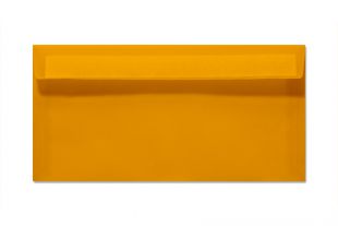 Transparent 110 x 220 mm DIN lang Briefumschlag